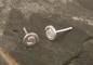 Preview: Earstudd Silver