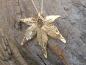 Preview: Leaf gold plated