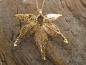 Preview: Leaf gold plated