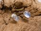 Preview: Earstudd Silver Moonstone