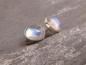 Preview: Earstudd Silver Moonstone