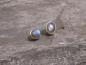 Preview: Earstudd Silver Labradorite