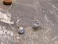Preview: Earstudd Silver Moonstone