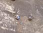 Preview: Earstudd Silver Moonstone