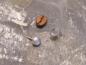Preview: Earstudd Silver Moonstone