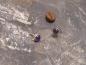 Preview: Ohrstecker Amethyst