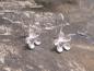 Preview: Earrings Silver