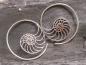 Preview: Earrings Silver