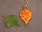 Preview: Leaf Copper