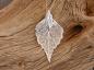 Preview: Leaf silver plated