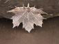 Preview: Leaf silver plated