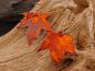 Preview: Leaf Copper  Earrings