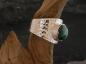 Preview: Silverring