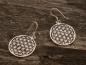 Preview: Earrings Silver
