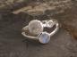 Preview: Silverring