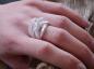 Preview: Silverring