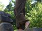 Preview: Aladintrouser