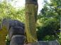 Preview: Aladinhose S/M