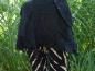Preview: Skirt