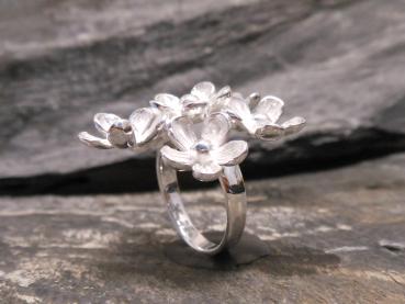 Silverring