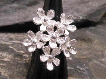Silverring