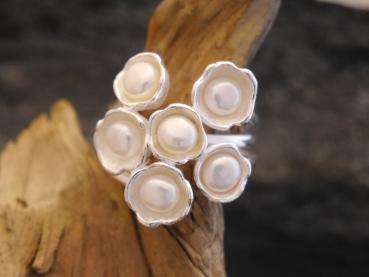 Silverring