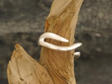 Silverring