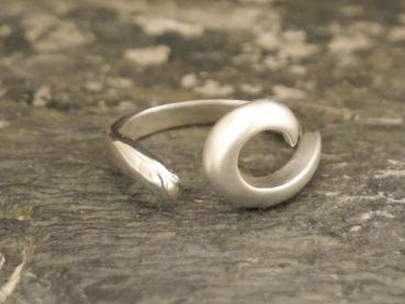Silverring - Kopie