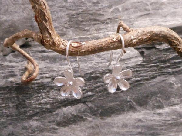 Earrings Silver