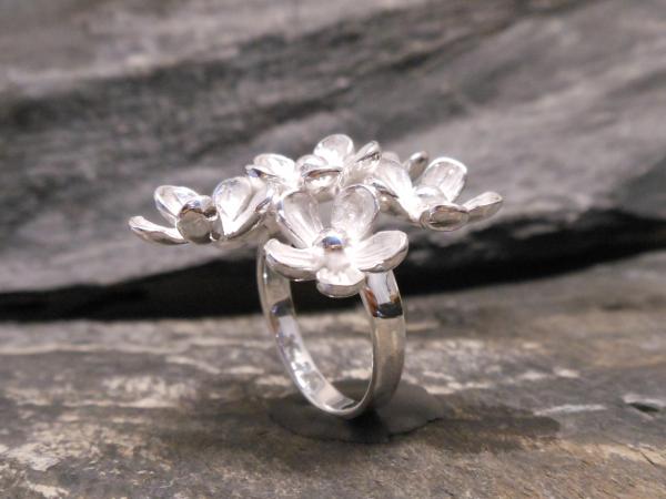 Silverring