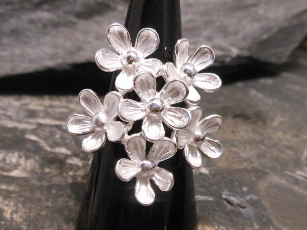 Silverring