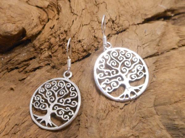 Earrings Silver