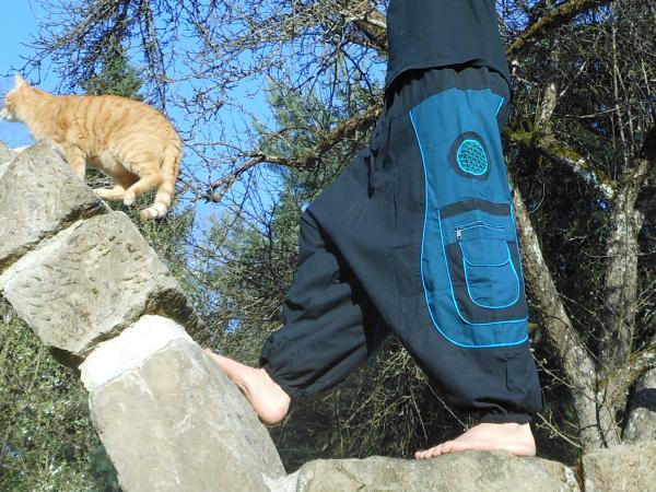 Aladintrouser