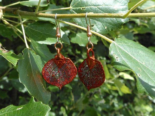 Leaf Copper  Earrings