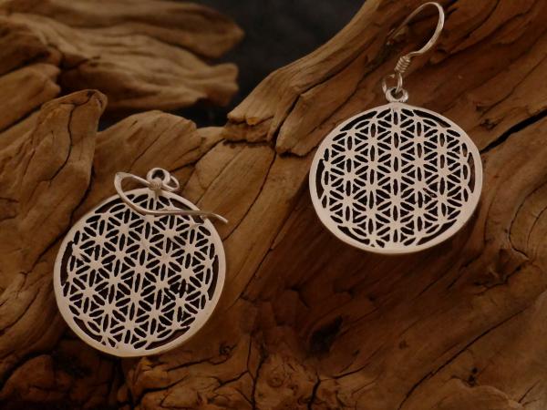 Earrings Silver