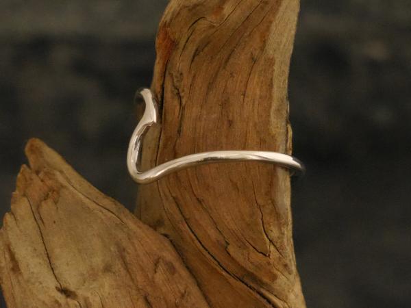 Silverring