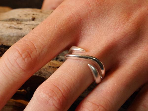 Silverring