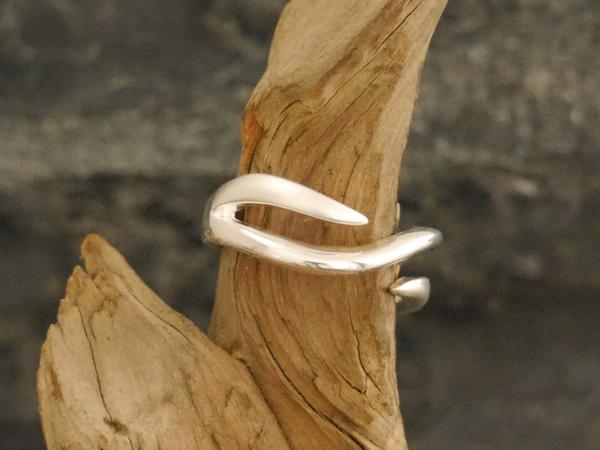 Silverring