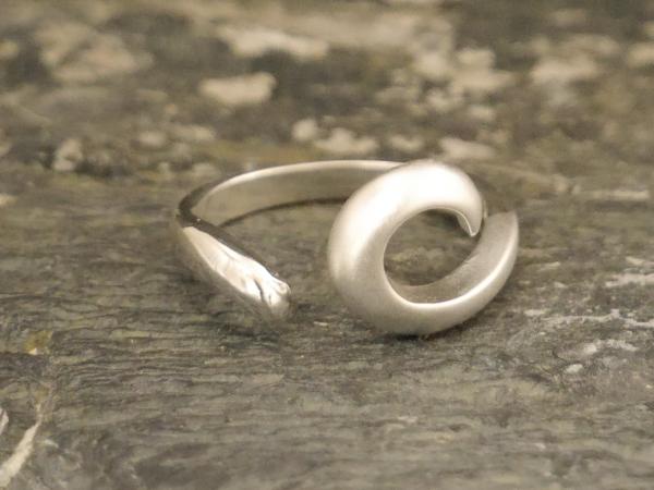 Silverring - Kopie