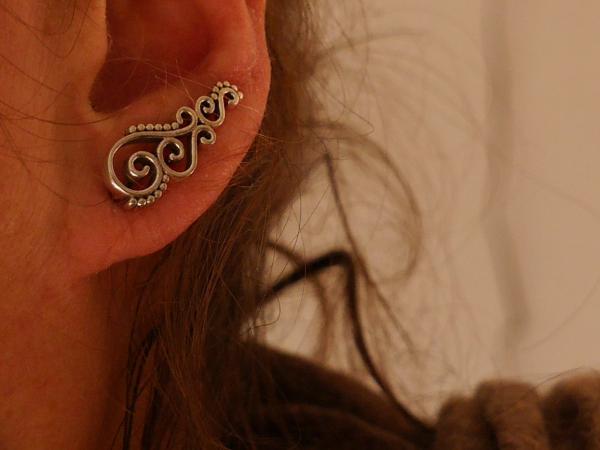 Earrings Silver
