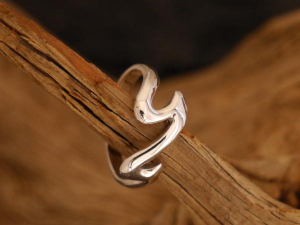 Silverring